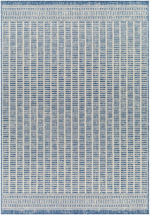 Amena Blue Outdoor Area Rug - Clearance