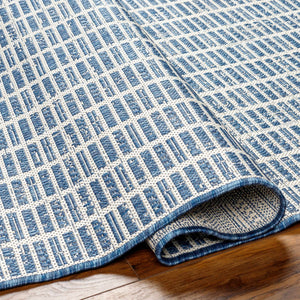 Amena Blue Outdoor Area Rug - Clearance