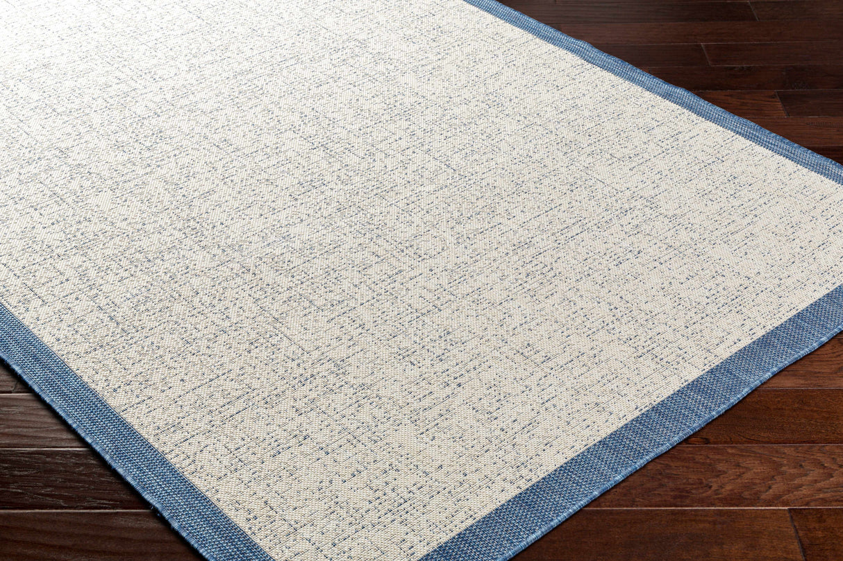 Demas Blue & Cream Area Rug - Clearance