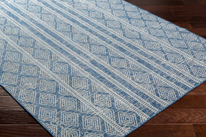 Gavin Blue Durable Outdoor Rug - Clearance