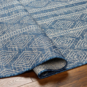 Gavin Blue Durable Outdoor Rug - Clearance
