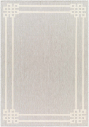 Ilori Light Gray Area Rug - Clearance