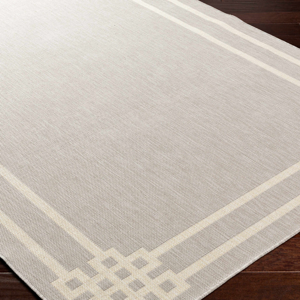 Ilori Light Gray Area Rug - Clearance