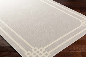 Ilori Light Gray Area Rug - Clearance