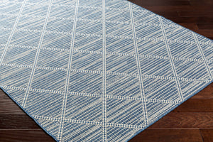 Ivora Blue Outdoor Area Rug - Clearance