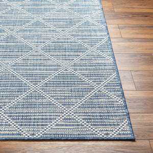 Ivora Blue Outdoor Area Rug - Clearance