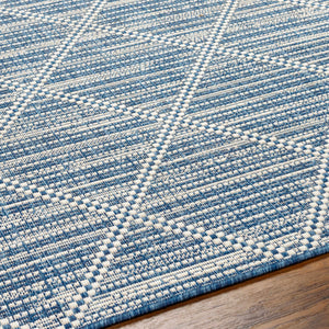 Ivora Blue Outdoor Area Rug - Clearance