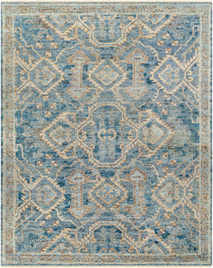 Beyza Area Rug - Clearance