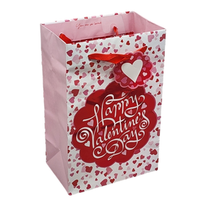 Raining Hearts Gift Bag