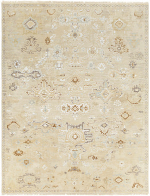 Danyl Area Rug - Clearance