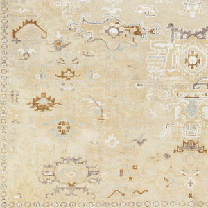 Danyl Area Rug - Clearance