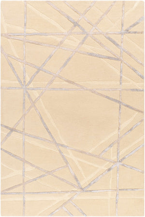 Amjad Area Rug - Clearance