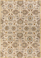 Conesus Hand Tufted Tan 1012 Area Rug