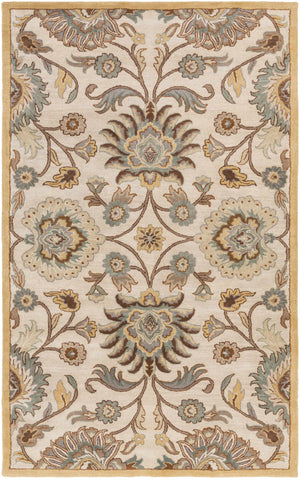 Conesus Hand Tufted Tan 1012 Area Rug