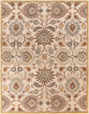 Conesus Hand Tufted Tan 1012 Area Rug