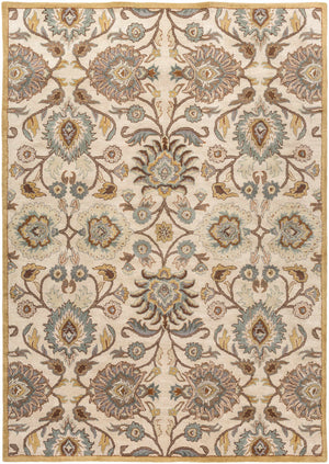 Conesus Hand Tufted Tan 1012 Area Rug
