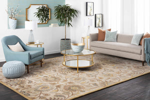 Conesus Hand Tufted Tan 1012 Area Rug
