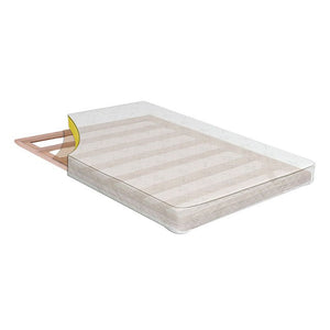 Daisy - 8" Queen Size