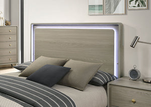 Rainier - 5 Pc Queen Bedroom Set (Panel HB)
