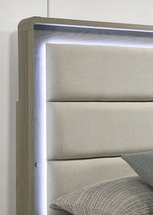 Rainier - 5 Pc Queen Bedroom Set (Upholstered HB)