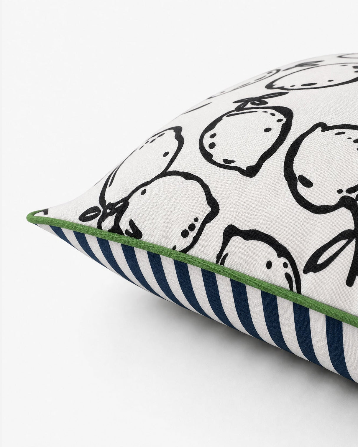 Lemone Outdoor Throw Pillow