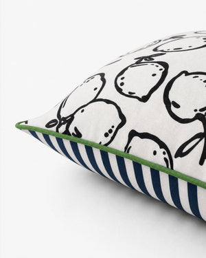 Lemone Outdoor Throw Pillow