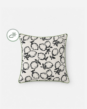 Lemone Outdoor Throw Pillow