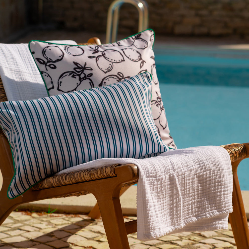 Lemone Outdoor Throw Pillow