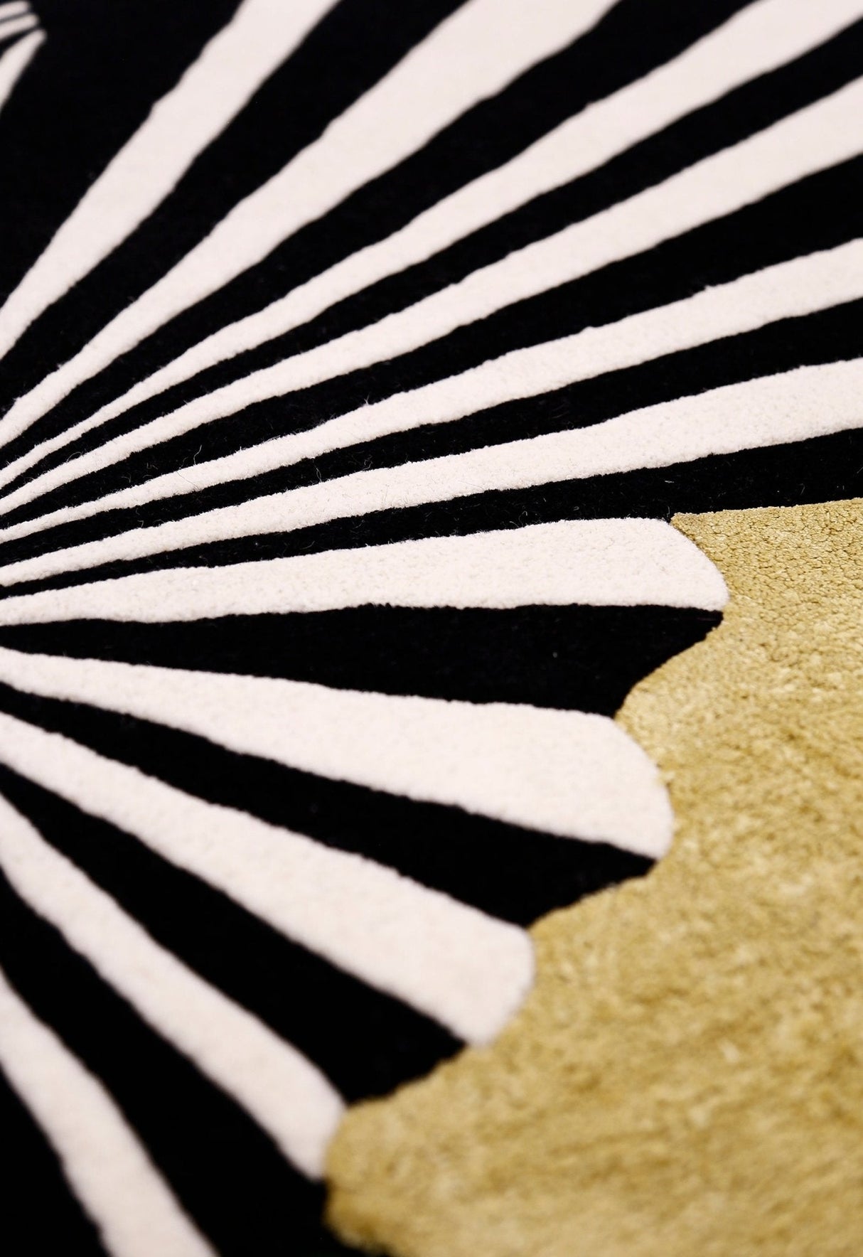 Sunflare Fan Black Hand Tufted 5x5 Wool Area Rug