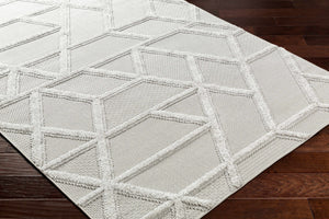 Cadak Area Rug