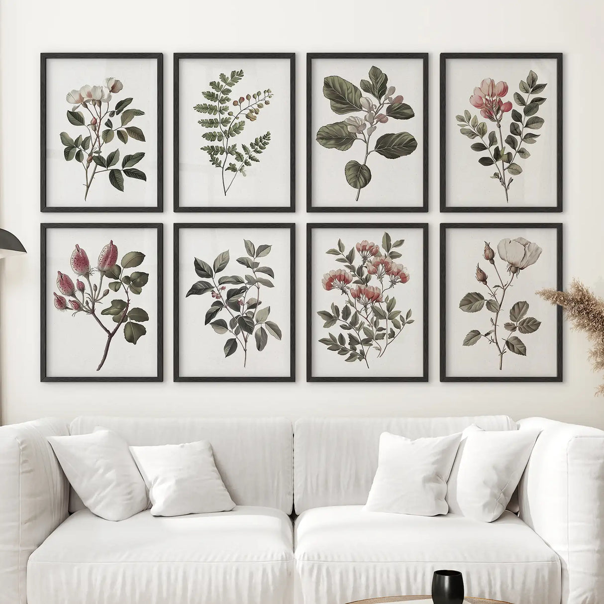 Antique Botanical set of 8 Prints. White Rose Wall Art