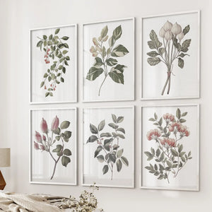 Botanical Wall Art Set of 6 Prints. Rosehip Decor