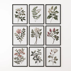Set of 9 Botanical Posters. Vintage Flowers Wall Art
