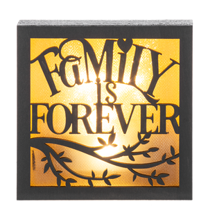 Laser Cut Light Up Blocks -