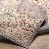Taia Traditional Style Rug - Clearance
