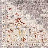 Taia Traditional Style Rug - Clearance