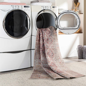 Tapia Washable Area Rug - Clearance
