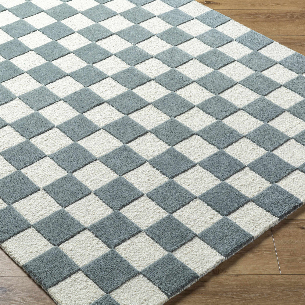 Timin Blue Gray Checkered Area Rug