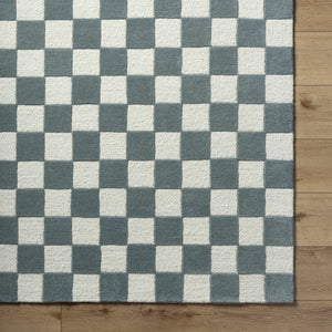 Timin Blue Gray Checkered Area Rug