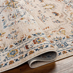 Teva Traditional Style Rug - Clearance
