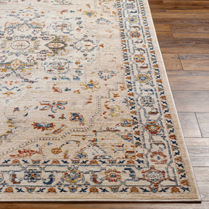 Teva Traditional Style Rug - Clearance