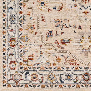Teva Traditional Style Rug - Clearance