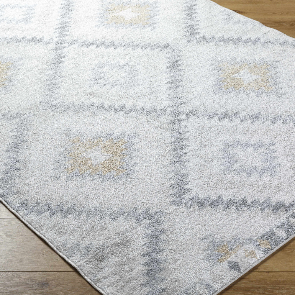 Tyipa Area Rug