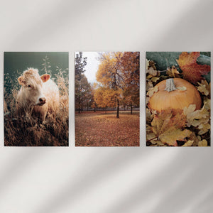 Autumn Farmhouse Prints. Cow, Fall Trees, Pumpkin Decor