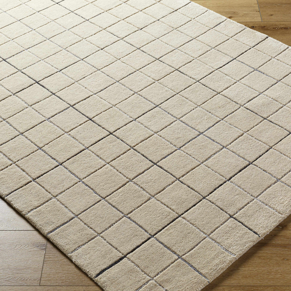 Toshi Beige Area Rug
