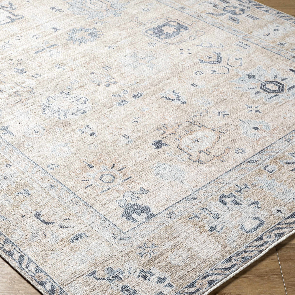 Toddy Area Rug