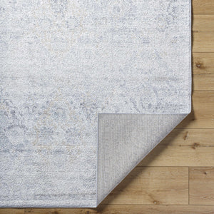 Totsi Area Rug