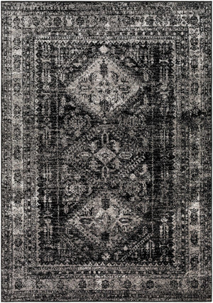 Toni Area Rug - Clearance