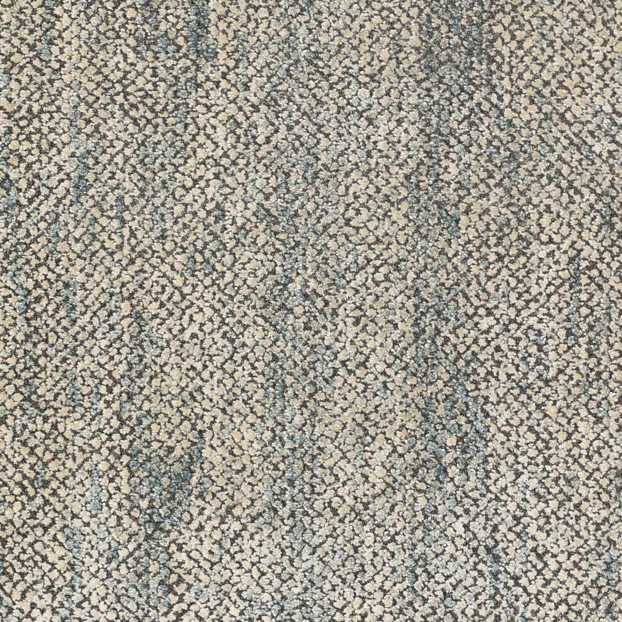 Toboy Area Rug - Clearance