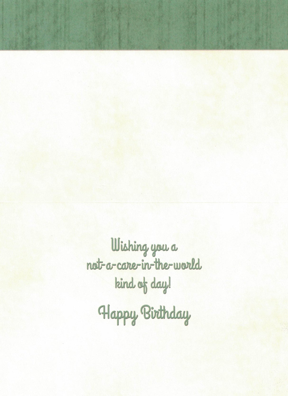 Birthday Card - Not A Care In The World
